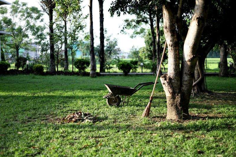 Préparer son jardin au printemps en Provence