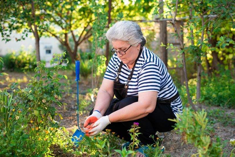 Les bonnes pratiques pour entretenir vos haies et massifs au début du printemps