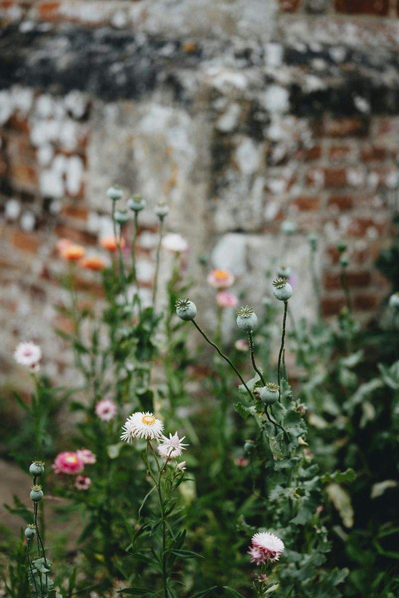 Jardins Harmonie Provence 3