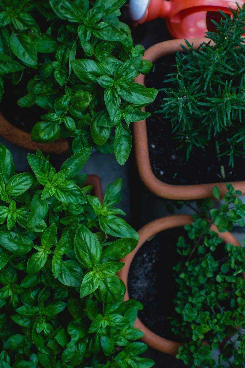 Entretien régulier des jardins
